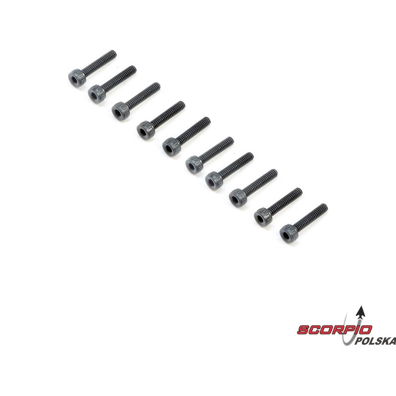 Śruba CH M2x10mm (10)