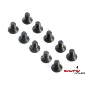Śruba FH M4x8mm (10)