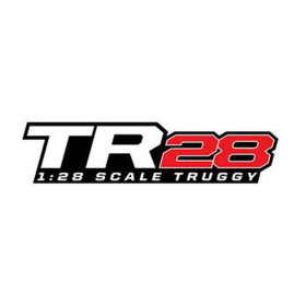 TEAM ASSOCIATED TR28 RTR Truggy 1:28 (zielony)