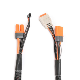 SPEKTRUM Przewód IC5 z balanserem JST-XH 2-6S 60cm