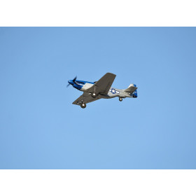 Samolot TOP RC HOBBY Mini P51D 450 (Niebieski)