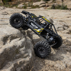 Axial Capra 1.9 4WS 1:10 RTR (Mickey Thompson)