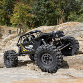 Axial Capra 1.9 4WS 1:10 RTR (Mickey Thompson)