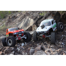 RGT Tracer 4WD 1/10 RTR (Pomarańczowy)