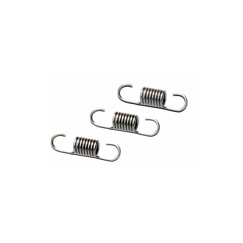 Flange Muffler Spring (3pcs)